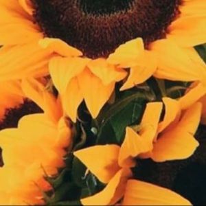 Meet your Posher, Aileen